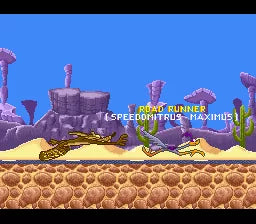 Road Runner's Death Valley Rally - SNES spill (NTSC-U)