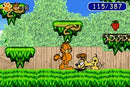 Garfield: The Search for Pooky - GBA spill