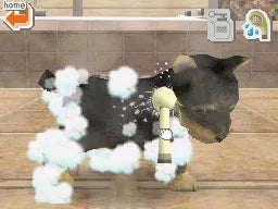Nintendogs: Dachshund & Friends - Nintendo DS spill - Retrospillkongen