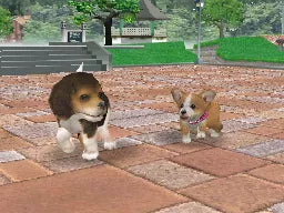 Nintendogs: Dachshund & Friends - Nintendo DS spill - Retrospillkongen