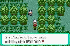 Pokémon Emerald Version - GBA spill (Komplett i eske) - Retrospillkongen