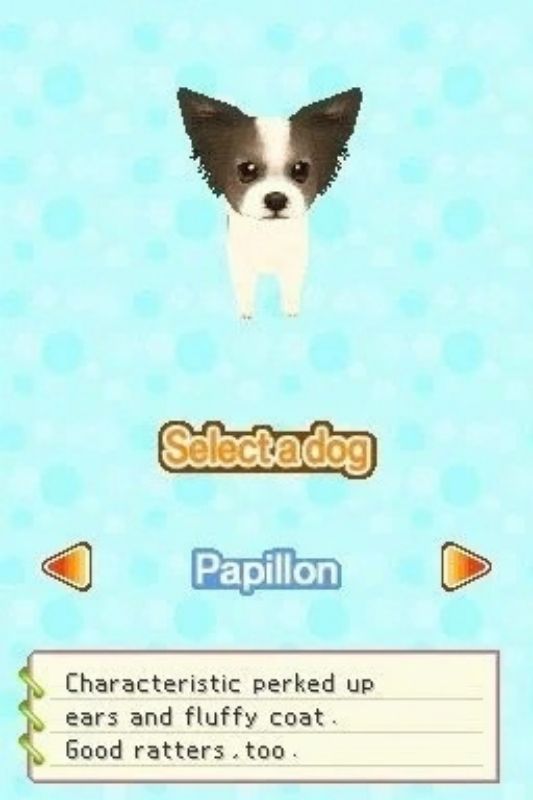 Petz: Fashion Dogz - Nintendo DS spill