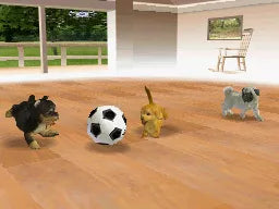 Nintendogs: Dachshund & Friends - Nintendo DS spill - Retrospillkongen