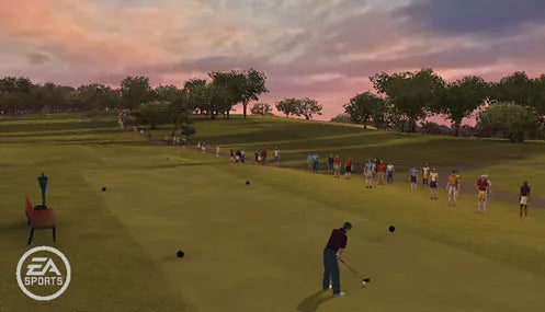 Tiger Woods PGA Tour 10 - Wii spill - Retrospillkongen