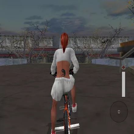 BMX XXX - PS2 spill - Retrospillkongen