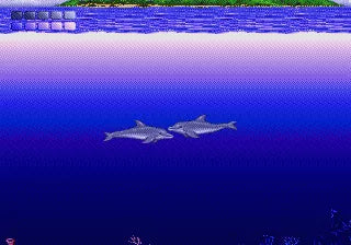 Ecco the Dolphin - SEGA Mega-CD spill (Forseglet) - Retrospillkongen
