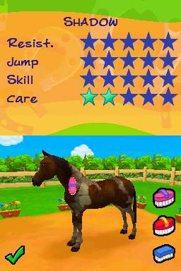 Petz Horsez 2: Farm Adventures - Nintendo DS spill - Retrospillkongen