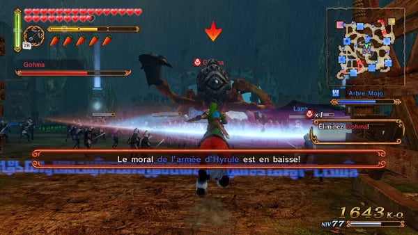 Hyrule Warriors - Wii U spill (Forselget) - Retrospillkongen