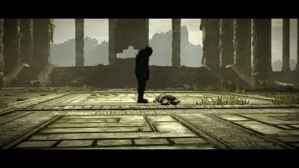 Shadow of the Colossus - PS4 spill (Forseglet) - Retrospillkongen