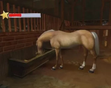 Horse Life 2 - Nintendo DS spill - Retrospillkongen