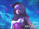 Ninja Gaiden - Microsoft Xbox spill - Retrospillkongen