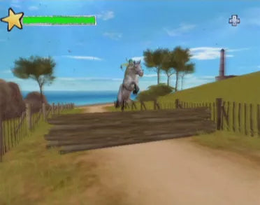 Horse Life 2 - Nintendo DS spill - Retrospillkongen