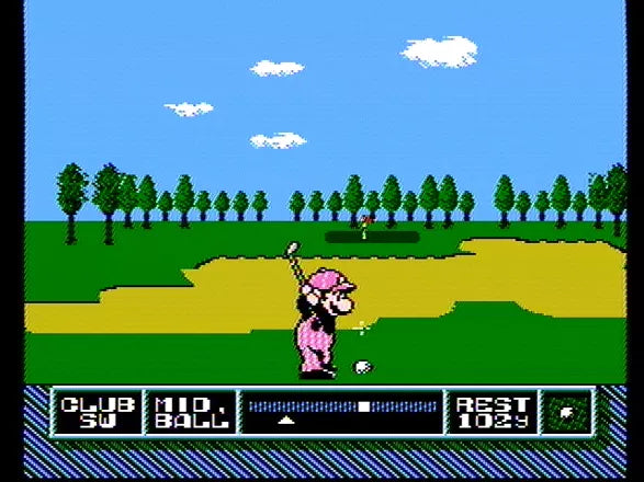 NES Open Tournament Golf - NES spill (I eske) - Retrospillkongen