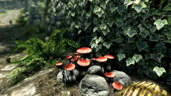 The Elder Scrolls V: Skyrim - Special Edition - Xbox One spill - Retrospillkongen