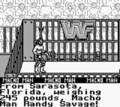 WWF Superstars 2 - GameBoy Spill
