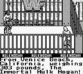 WWF Superstars 2 - GameBoy Spill