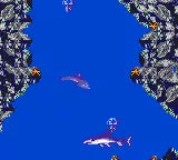 Ecco The Tides of Time - SEGA Mega Drive spill - Retrospillkongen