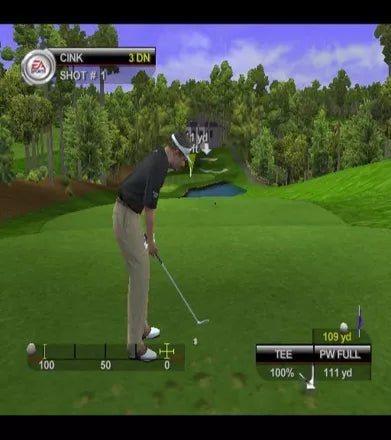 Tiger Woods PGA Tour 2001 - PS2 spill - Retrospillkongen