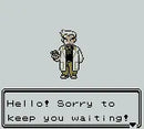 Pokémon Crystal Version - GameBoy spill