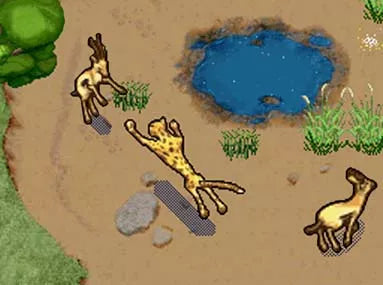 SimAnimals: Africa - Nintendo DS spill - Retrospillkongen