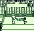 WWF Superstars 2 - GameBoy Spill