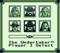 WWF Superstars 2 - GameBoy Spill