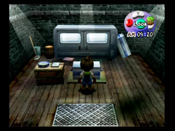 Harvest Moon: A Wonderful Life - GameCube spill - Retrospillkongen