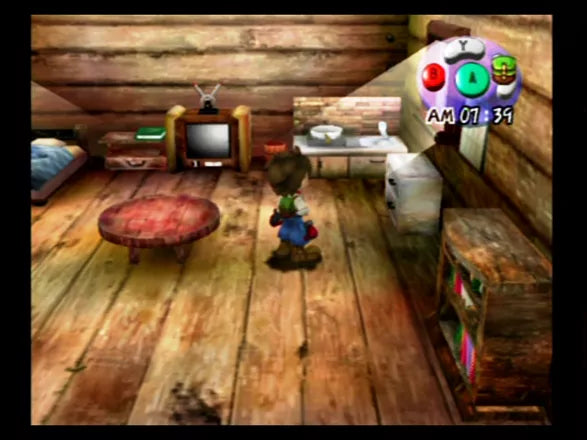 Harvest Moon: A Wonderful Life - GameCube spill - Retrospillkongen