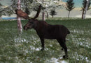 North American Hunting Extravaganza - Wii spill - Retrospillkongen