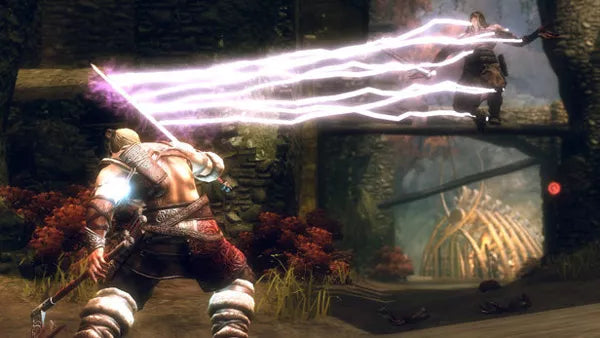 Viking: Battle for Asgard - PS3 spill - Retrospillkongen
