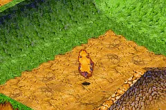Disney's Extreme Skate Adventure - GBA spill - Retrospillkongen