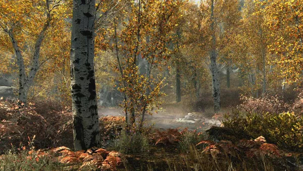 The Elder Scrolls V: Skyrim - Special Edition - Xbox One spill - Retrospillkongen
