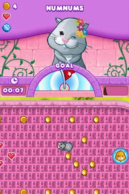Magical Zhu Zhu Princess: Carriages & Castles - Nintendo DS spill - Retrospillkongen