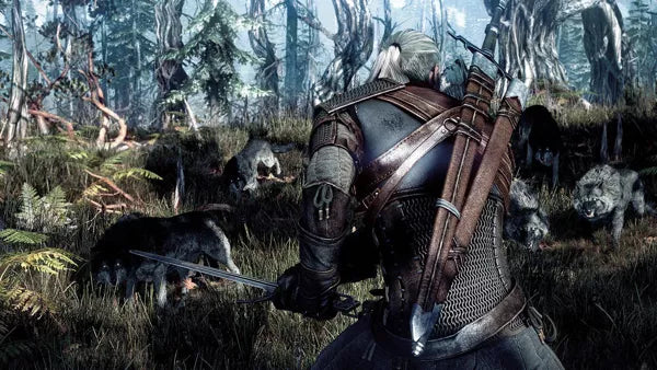 The Witcher 3: Wild Hunt - PS4 spill - Retrospillkongen