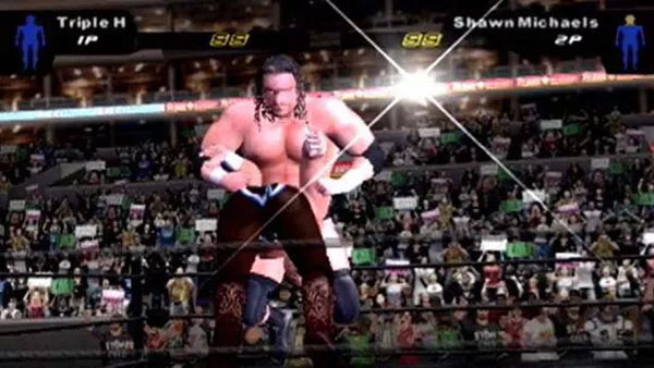SmackDown! Here Comes the Pain - PS2 spill - Retrospillkongen