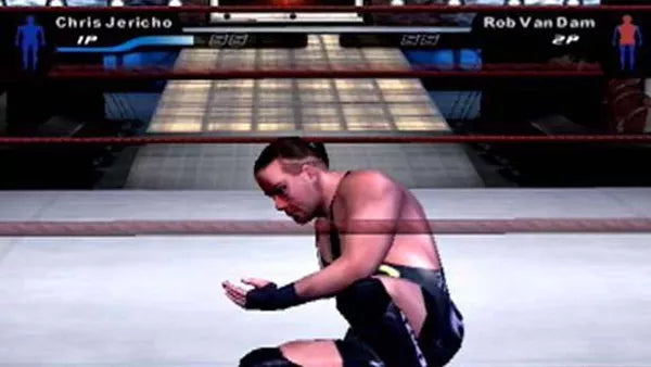 SmackDown! Here Comes the Pain - PS2 spill - Retrospillkongen