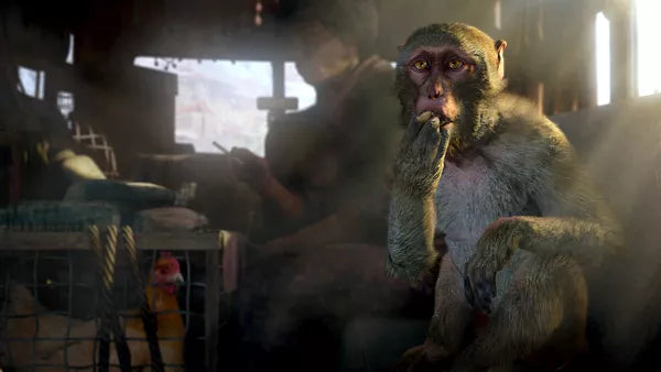 Far Cry 4 + Far Cry: Primal Bundle - PS4 spill - Retrospillkongen