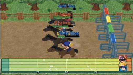 Harvest Moon: Magical Melody - Wii spill - Retrospillkongen