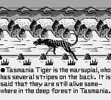 Tasmania Story - GameBoy spill - Retrospillkongen
