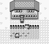 Pokémon Red Version - GameBoy spill (I Eske) - Retrospillkongen