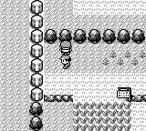 Pokémon Red Version - Gameboy spill - Retrospillkongen