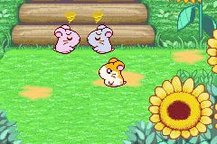 Hamtaro: Ham-Ham Heartbreak - GBA spill - Retrospillkongen