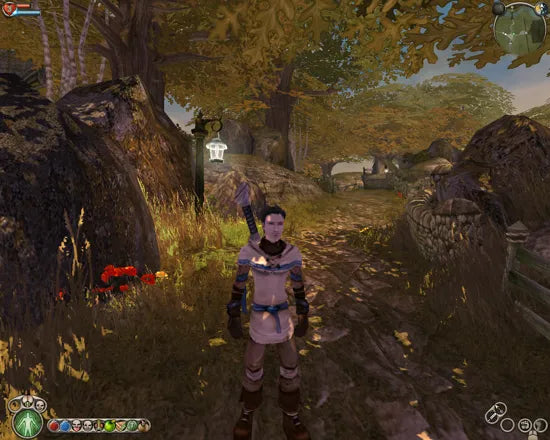Renovert Fable: The Lost Chapters - Xbox Original-spill - Retrospillkongen