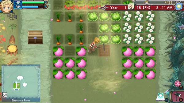 Rune Factory 3 Special - Switch spill - Retrospillkongen