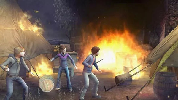 Harry Potter and the Goblet of Fire - PS2 Spill - Retrospillkongen