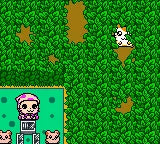 Hamtaro: Ham-Hams Unite! - GBC spill - Retrospillkongen