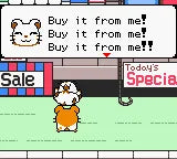 Hamtaro: Ham-Hams Unite! - GBC spill - Retrospillkongen