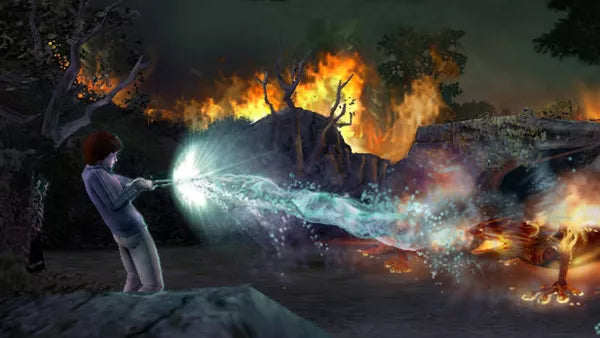 Harry Potter and the Goblet of Fire - PS2 Spill - Retrospillkongen