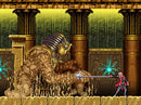 Castlevania: Portrait of Ruin - Nintendo DS spill