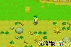 Harvest Moon: More Friends of Mineral Town - GBA spill (NTSC versjon) - Retrospillkongen